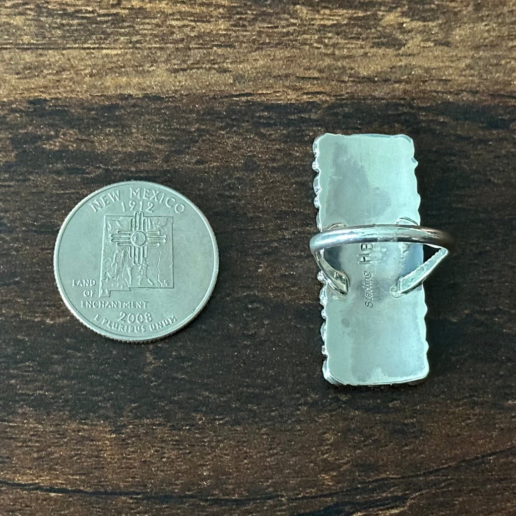 Navajo Harry B. Yazzie Kingman Turquoise 21 Stone Sterling Rectangular Snake Eye Ring