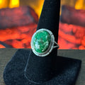 Navajo Samson Etsitty Sonoran Gold Turquoise Sterling Oval Ring
