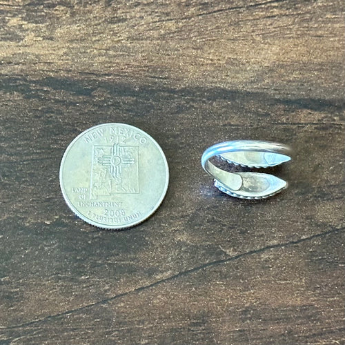 Blue Turquoise Sterling Adjustable Inlay Ring